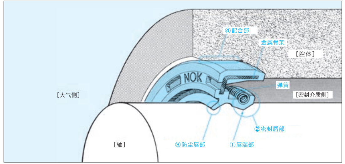 NOK是怎么造油封呢？